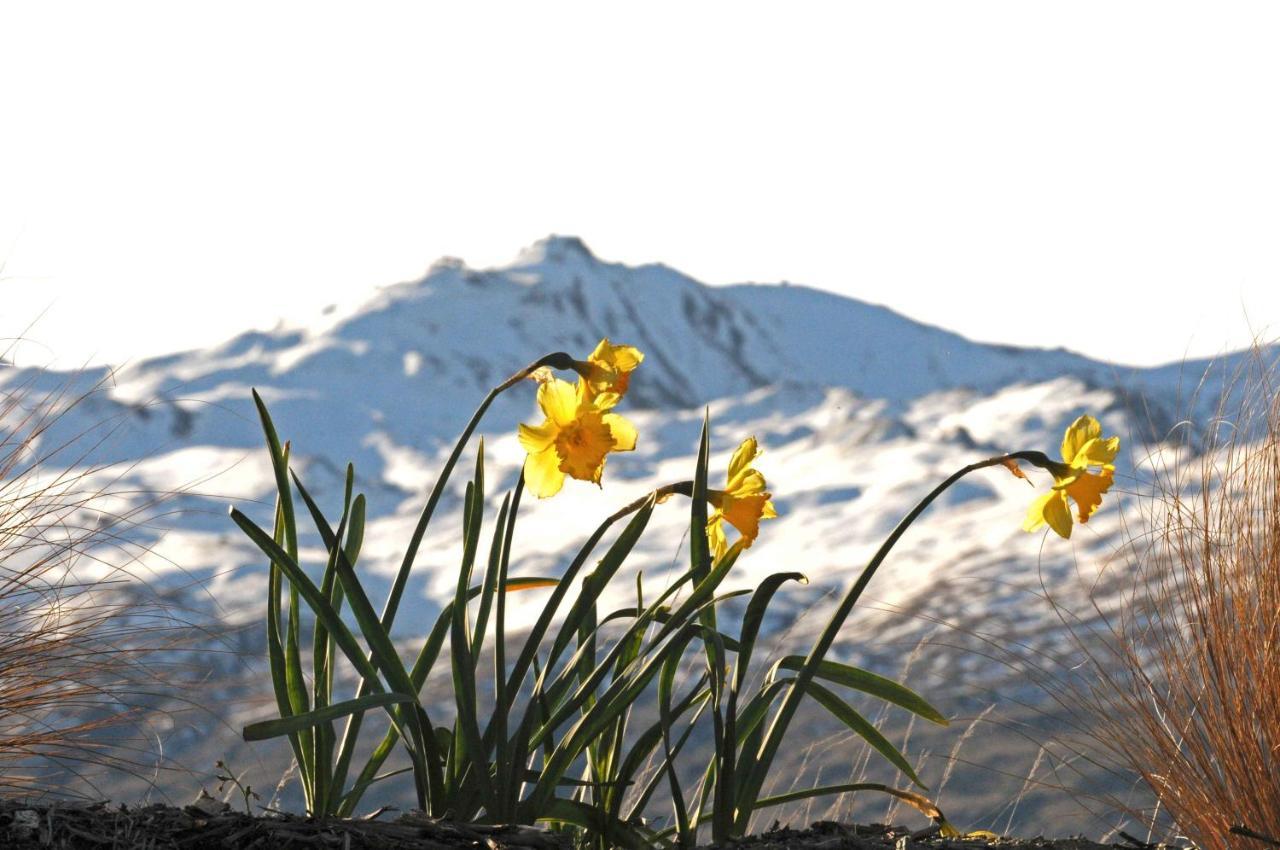 Hawkridge Alpine Suite Queenstown Zewnętrze zdjęcie