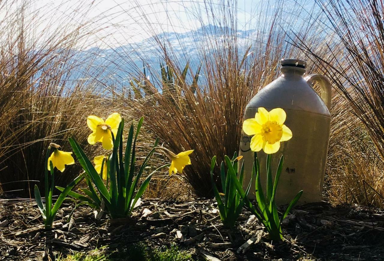 Hawkridge Alpine Suite Queenstown Zewnętrze zdjęcie